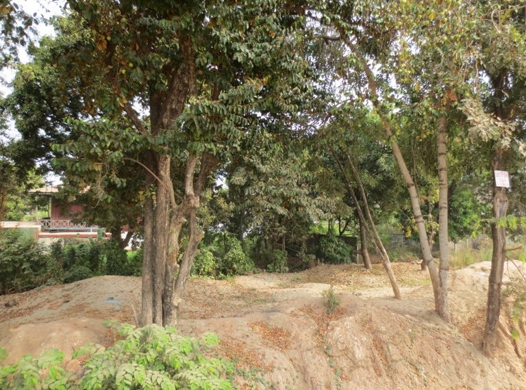 Residential For Sale  (7)