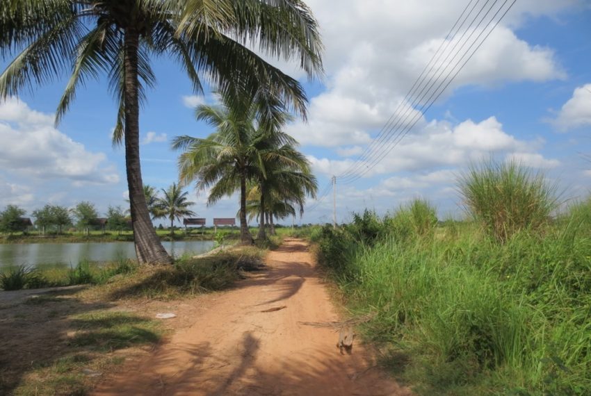 Residential Land (3)