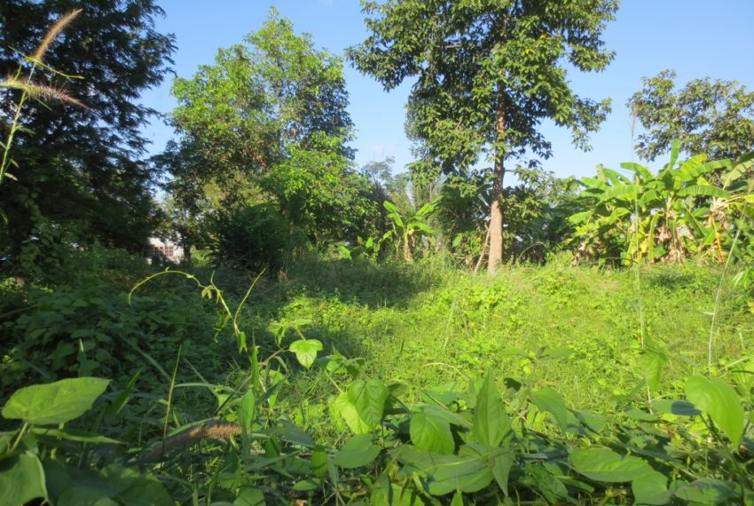 Residential Land (4)