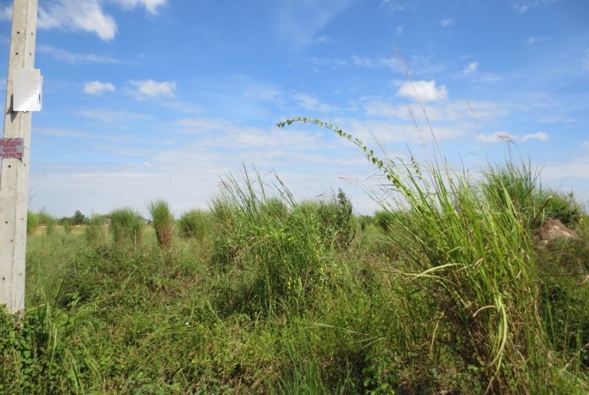 Residential Land (6)