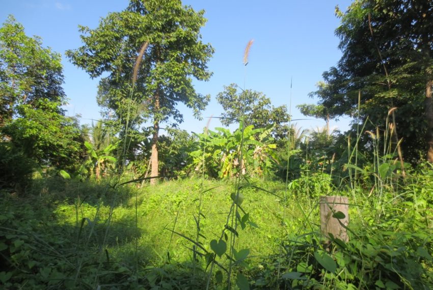 Residential Land (8)