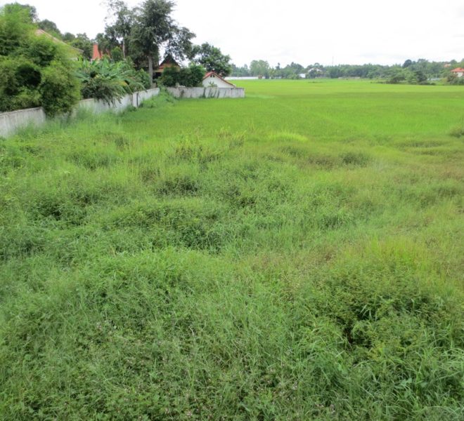 Residential Land For Sale (4)