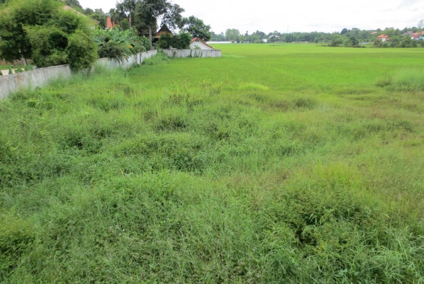 Residential Land For Sale (4)
