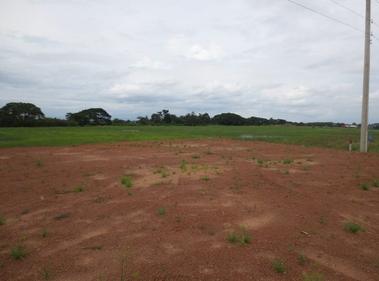 Residential Land For Sale (5)