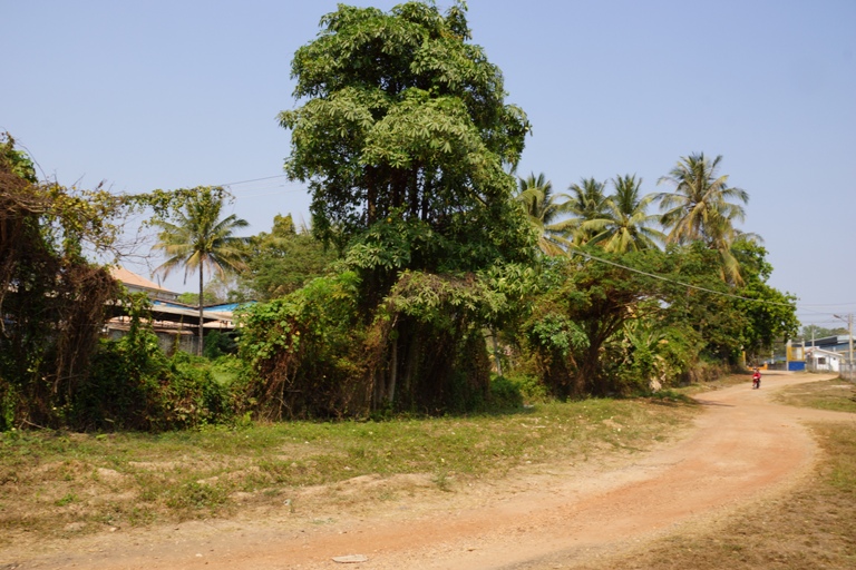 Residential Land for sale (6)