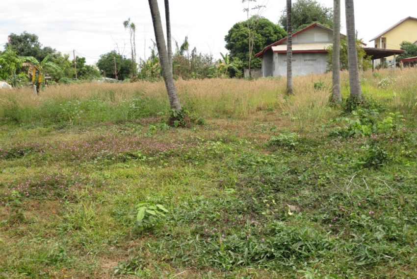 Residential land For Sale (1)