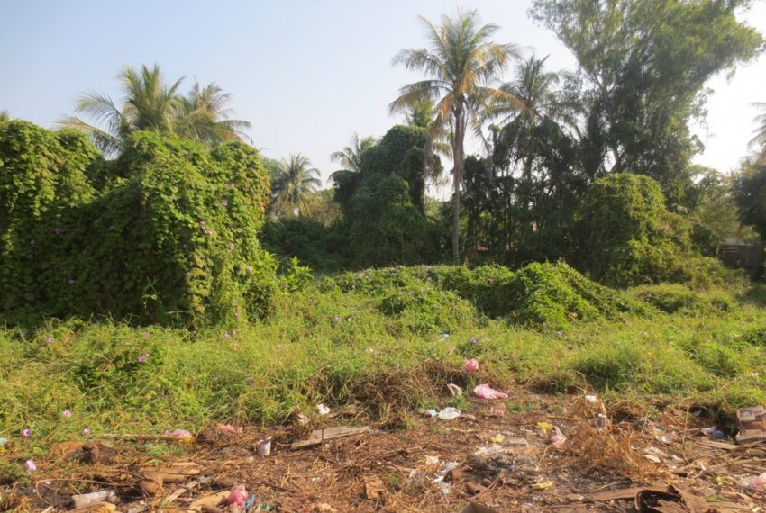 Residential land For Sale (1)