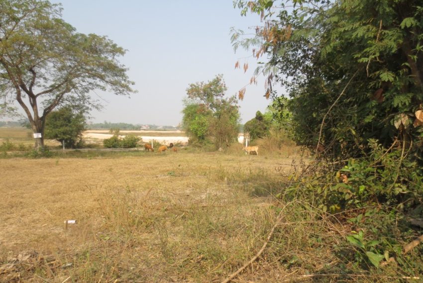 Residential land For Sale (1)