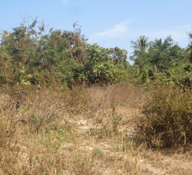 Residential land For Sale (1)