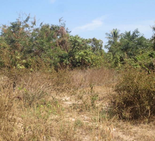 Residential land For Sale (1)