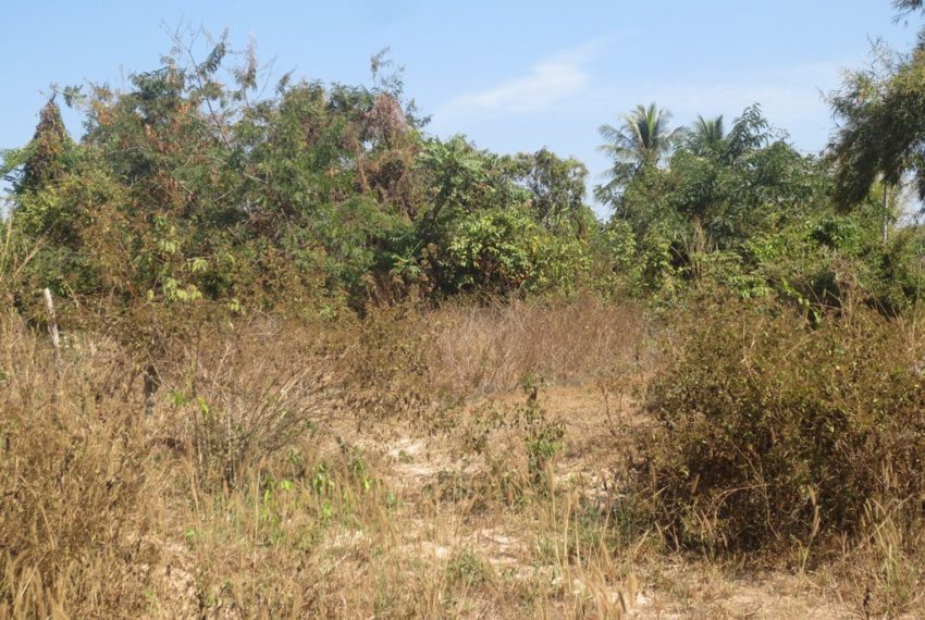 Residential land For Sale (1)