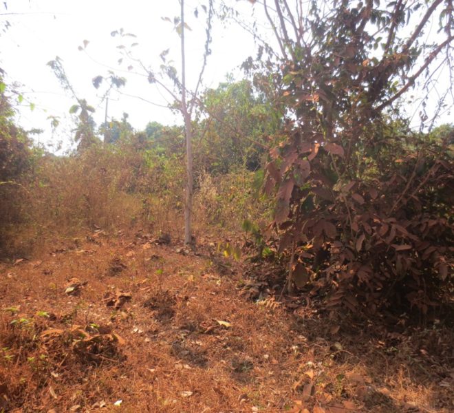 Residential land For Sale (1)