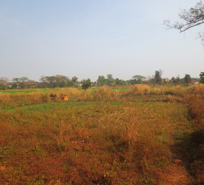 Residential land For Sale (1)