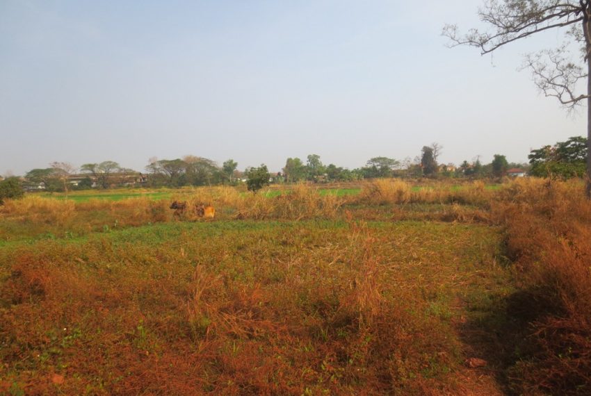 Residential land For Sale (1)