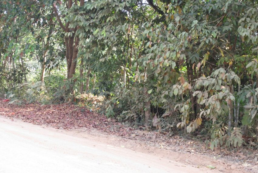 Residential land For Sale (1)