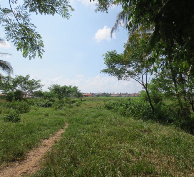 Residential land For Sale (1)