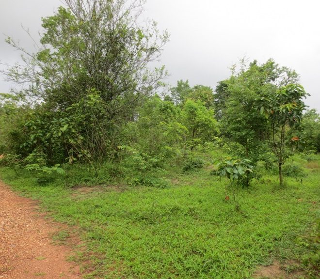 Residential land For Sale (1)