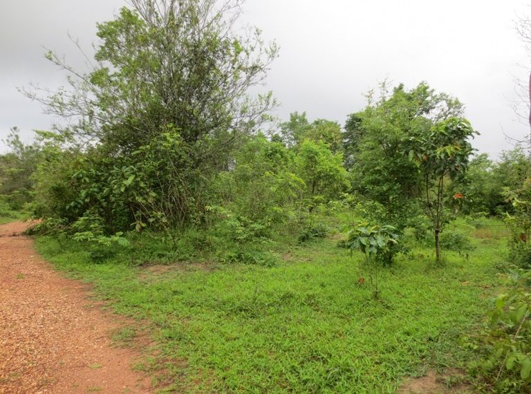 Residential land For Sale (1)