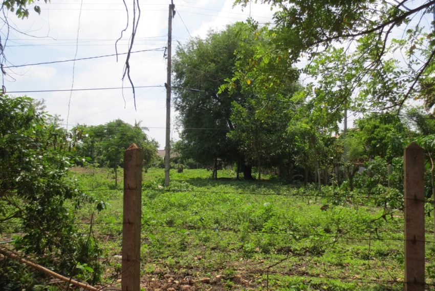 Residential land For Sale (1)