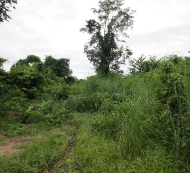 Residential land For Sale (1)