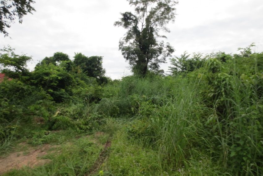 Residential land For Sale (1)