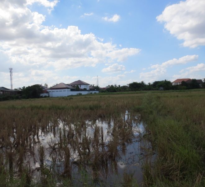 Residential land For Sale (1)