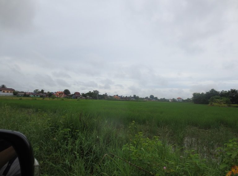 Residential land For Sale (1)