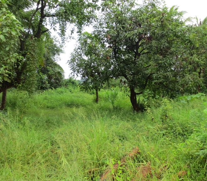 Residential land For Sale (1)