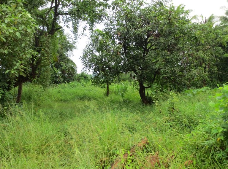 Residential land For Sale (1)