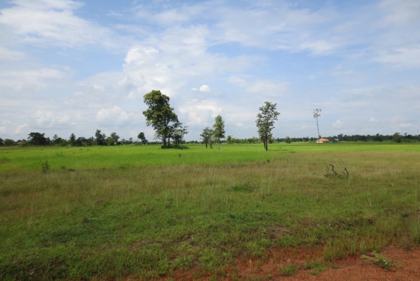 Residential land For Sale (1)