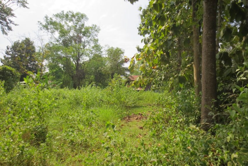Residential land For Sale (1)