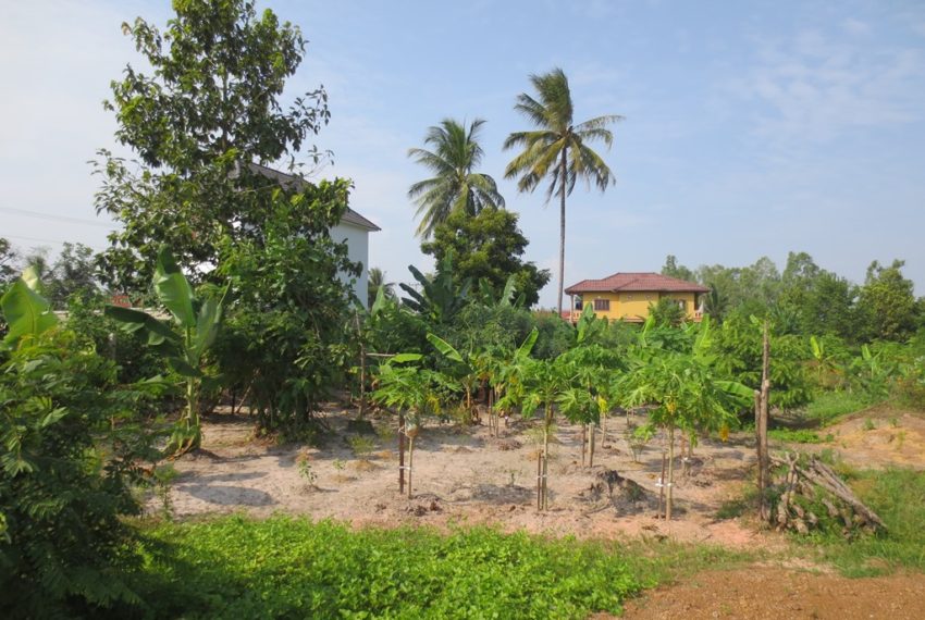 Residential land For Sale (1)