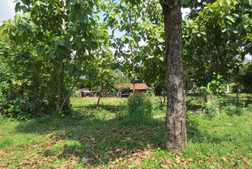 Residential land For Sale (1)