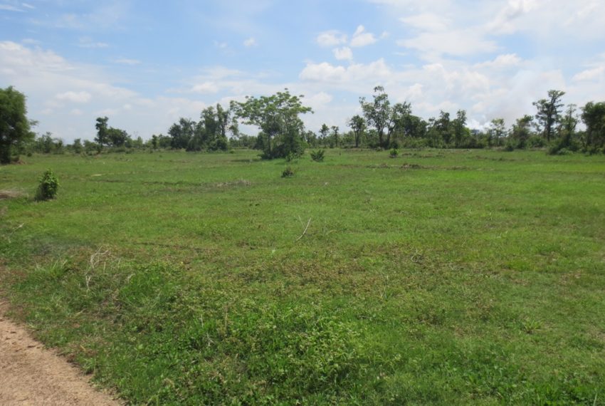 Residential land For Sale (10)