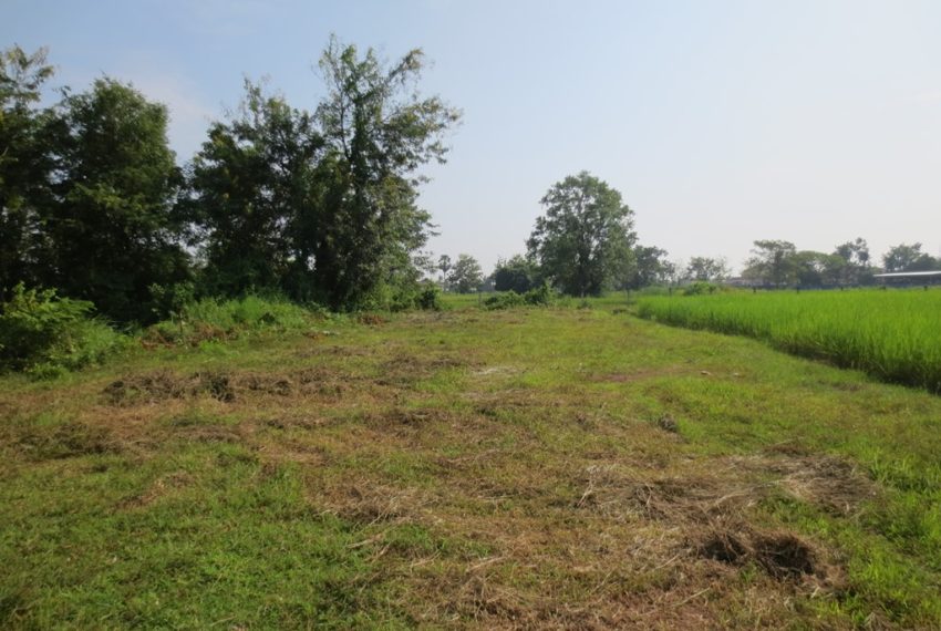 Residential land For Sale (11)