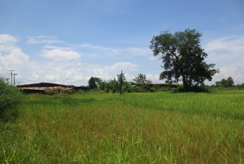 Residential land For Sale (12)