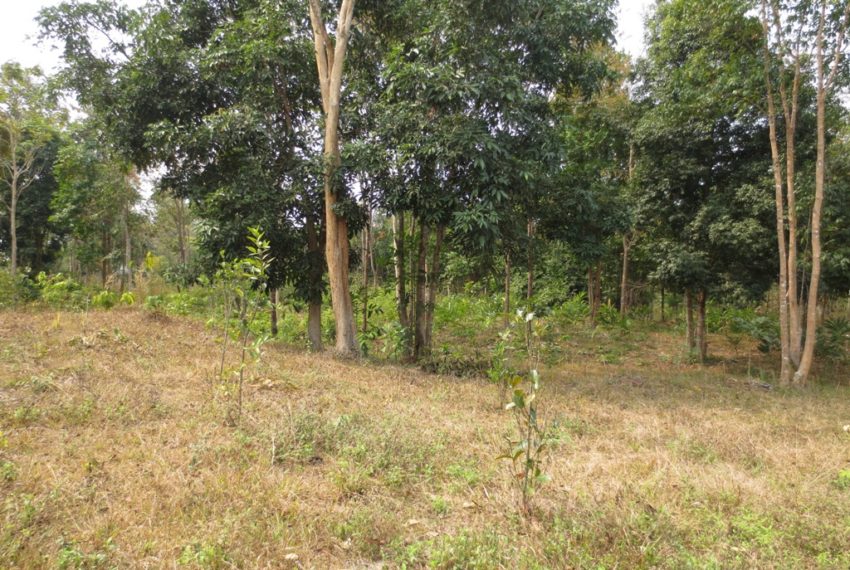 Residential land For Sale (15)