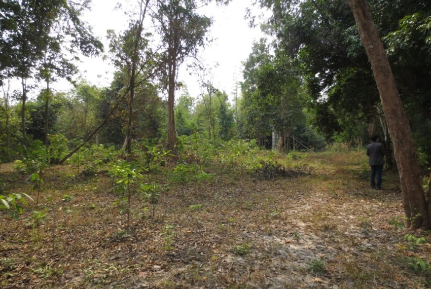 Residential land For Sale (17)
