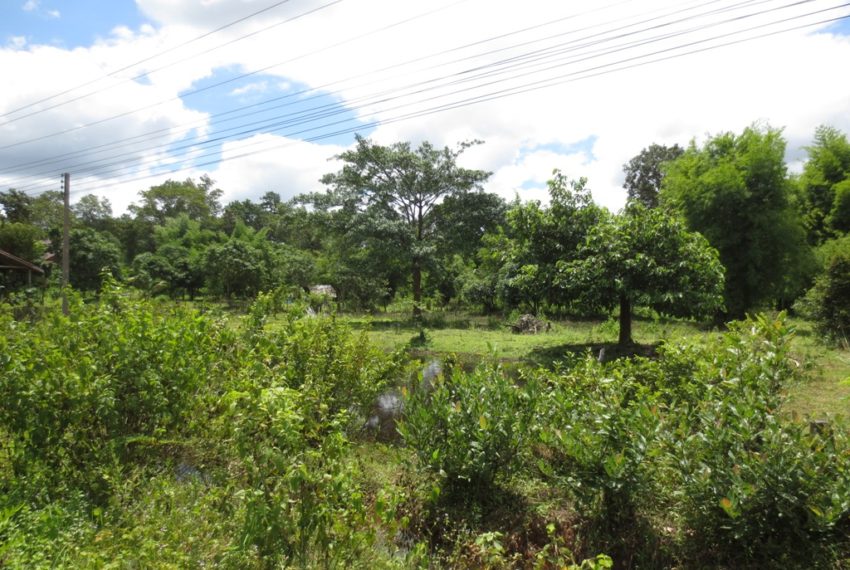 Residential land For Sale (2)