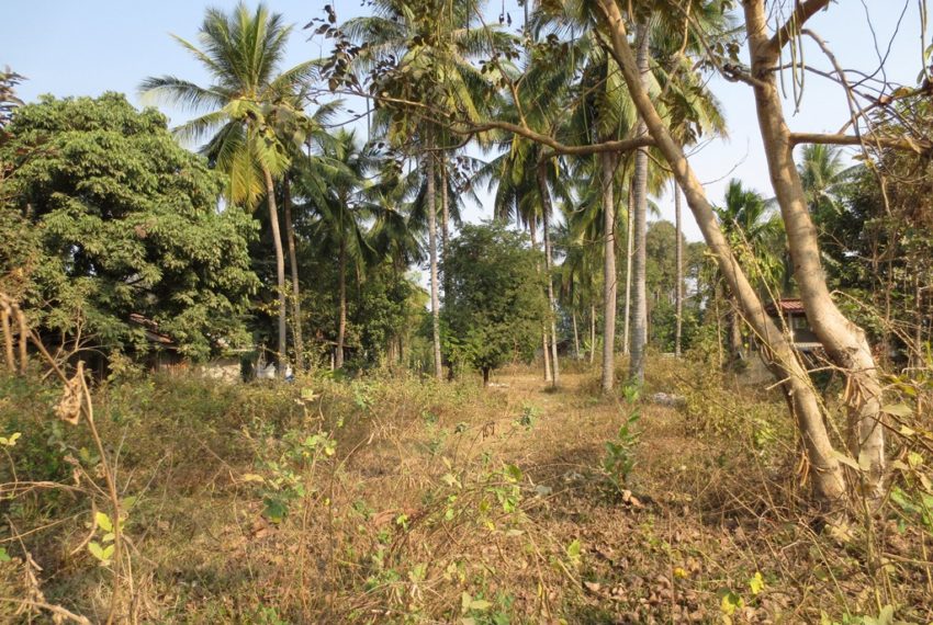 Residential land For Sale (2)