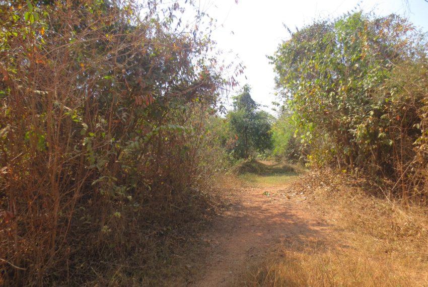 Residential land For Sale (2)