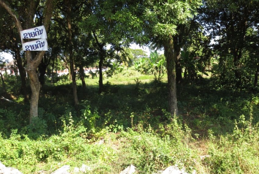 Residential land For Sale (2)