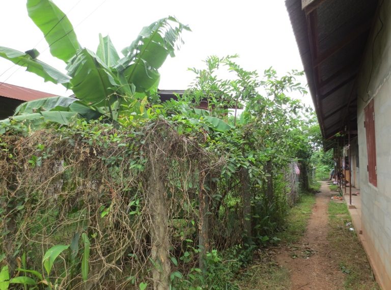Residential land For Sale (2)