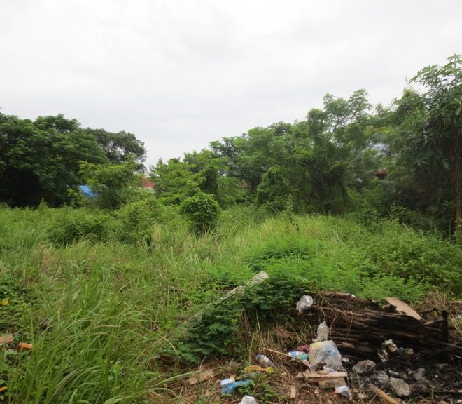 Residential land For Sale (2)