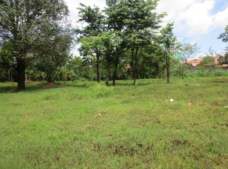 Residential land For Sale (2)