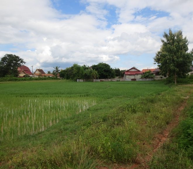 Residential land For Sale (2)