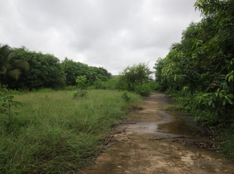 Residential land For Sale (2)