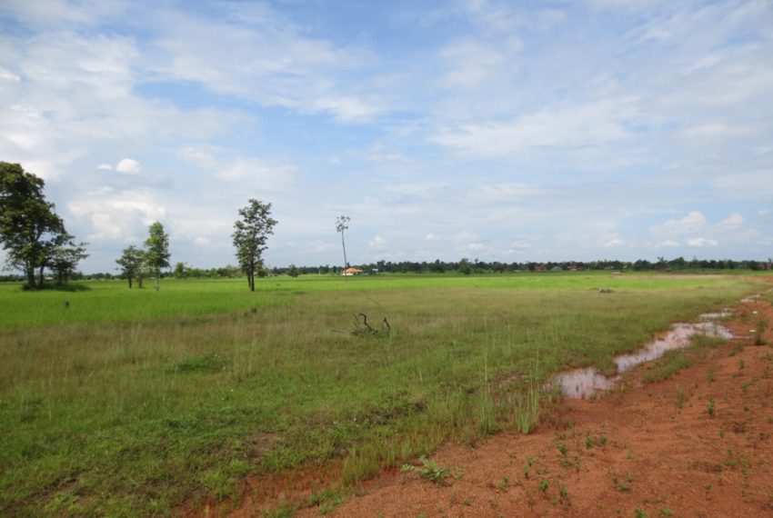 Residential land For Sale (2)