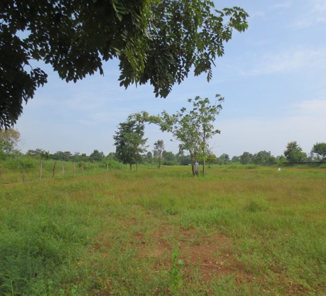 Residential land For Sale (2)