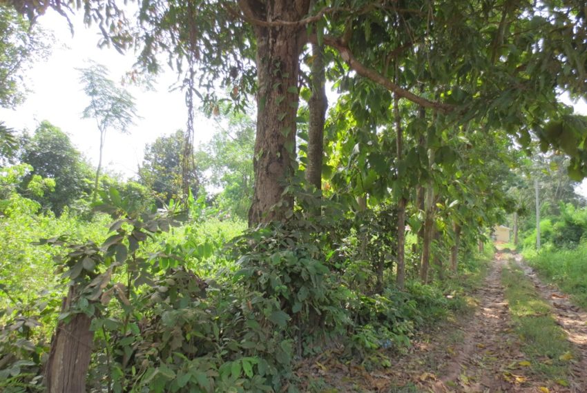 Residential land For Sale (2)